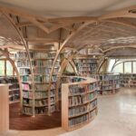 Forest of Knowledge Library by studio hinge 6