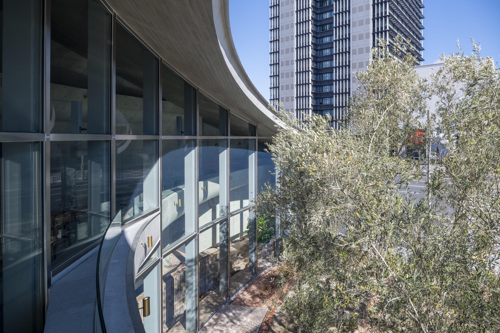 Roof edge and olive courtyard of AOI Celestie Coffee Roastery