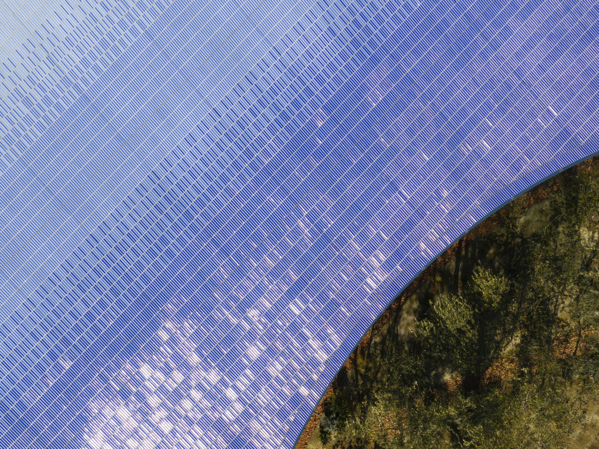 Blue gradient tiles on the roof of AOI Celestie Coffee Roastery