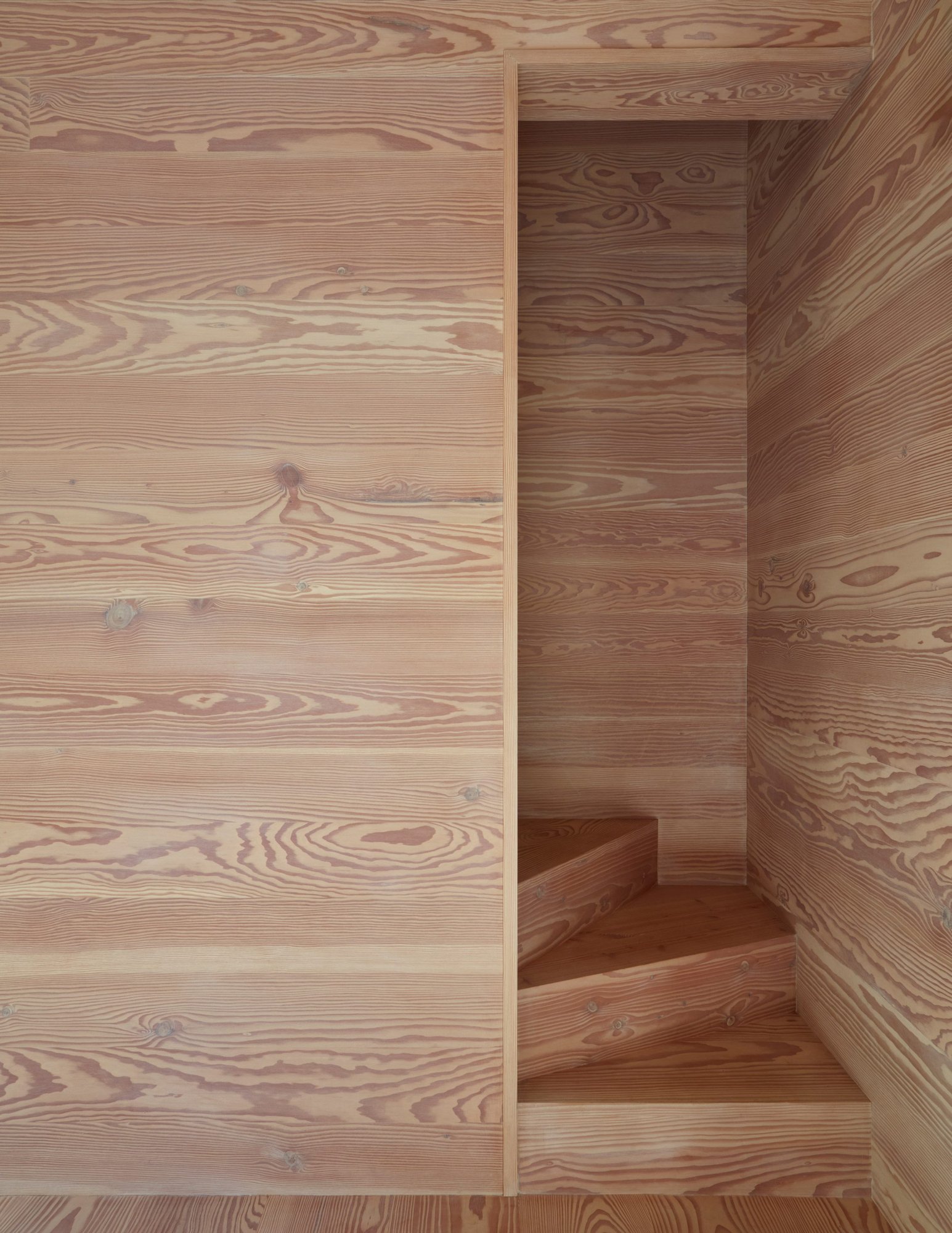 Douglas fir 목재로 마감한 애넥스 내부 나선 계단