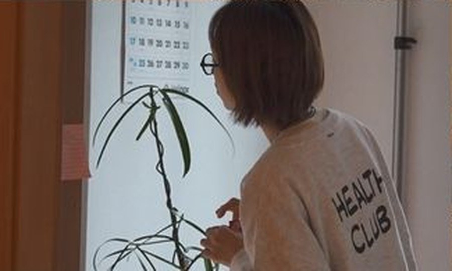 벽에 붙인 달력 옆에서 잎이 긴 반려식물을 살피는 류혜영