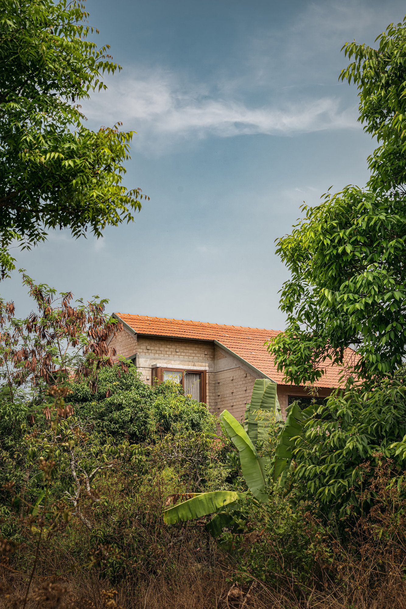 Saffron Verandah House verandah and courtyard footprint