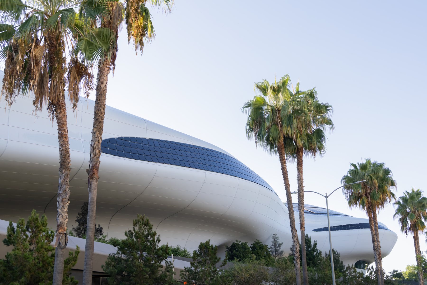 야자수 사이로 보이는 Lucas Museum of Narrative Art 외관
