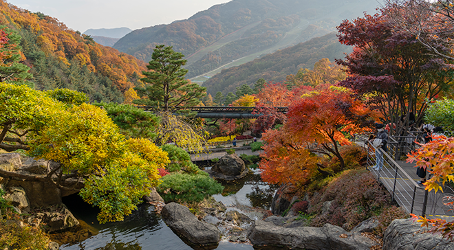 화담숲 가을 단풍 전경