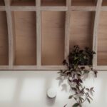 Tennyson Road 곡선 천장 리브 디테일과 화분
