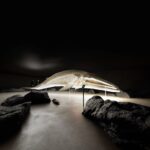 실물 크기로 빛나는 고래뼈 조형물, The Whale 전시장 렌더링
