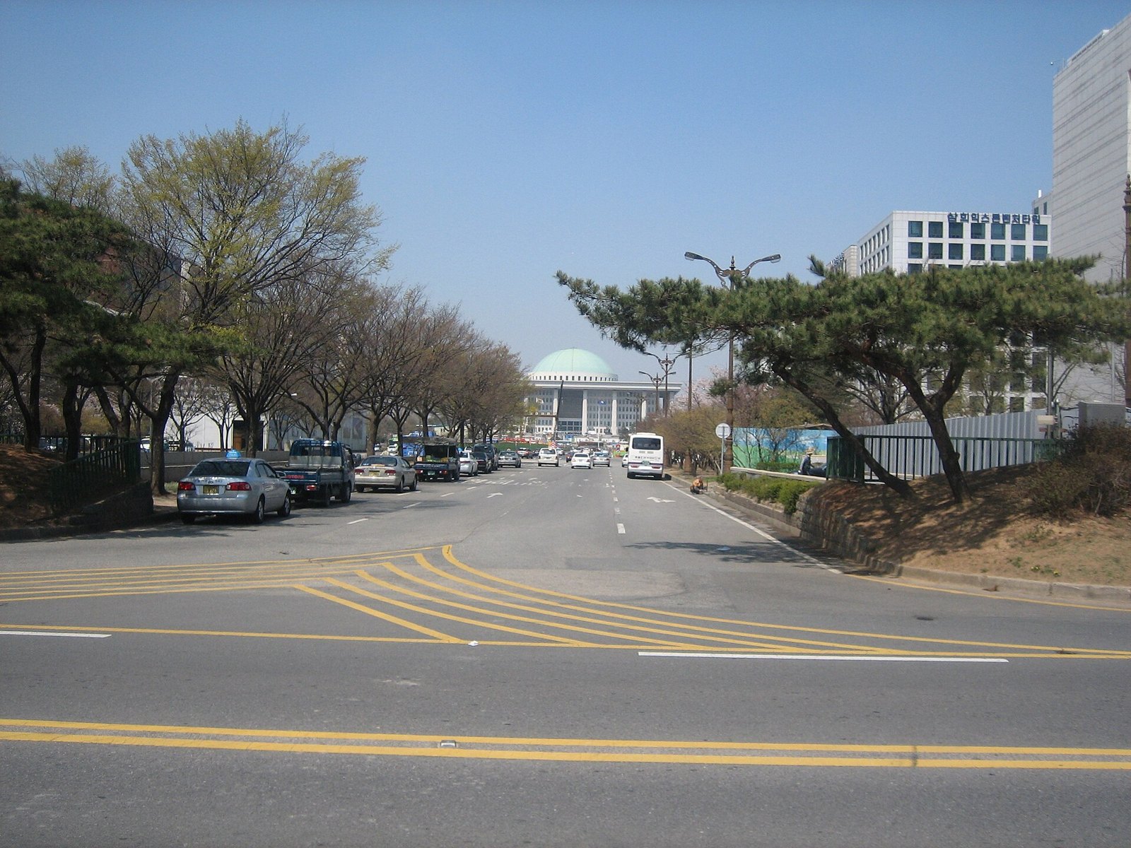 가로수 길 끝으로 보이는 여의도 국회의사당 돔