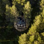 소나무 우듬지 사이에 숨은 Biosphere 항공 사진